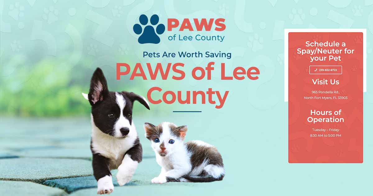 Paws Of Lee County | Paws Of Lee County